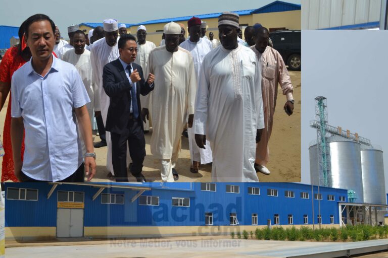 Tchad : La CCIAMA en visite à l’usine de fabrication de farine de maïs de Farcha