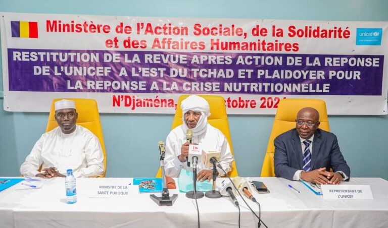 Réponse humanitaire à l’Est du Tchad : Un bilan à mi-parcours et un plaidoyer pour la crise nutritionnelle